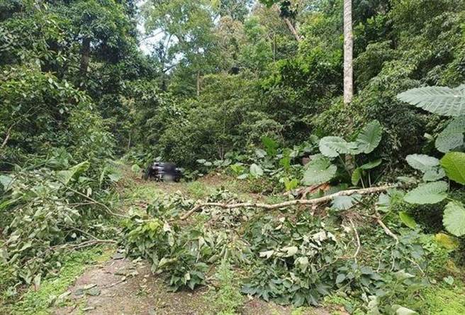 筍農今天一早發生K男1家人陳屍車中。（民眾提供／李京昇苗栗傳真）
