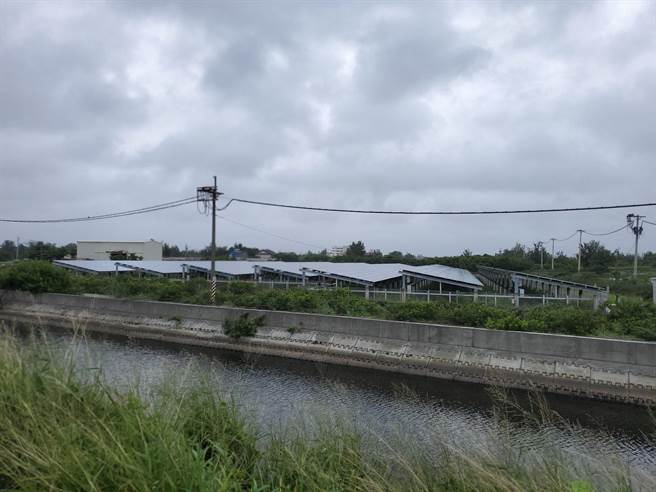 云林县沿海云林县估计有3000公顷被纳入低地力绿能发展区，县长张丽善要求实质会勘，中央不能自己在办公室画图。（周丽兰摄）