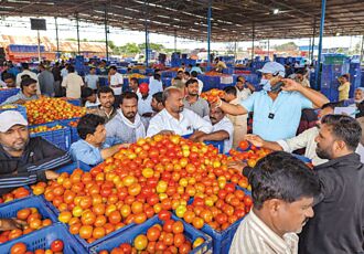 印度爆發番茄之亂