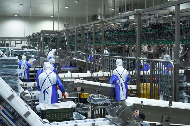 金丰盛从饲养、电宰到分切一条龙包办，鸡肉以冷冻降温、不泡水。（家乐福提供）