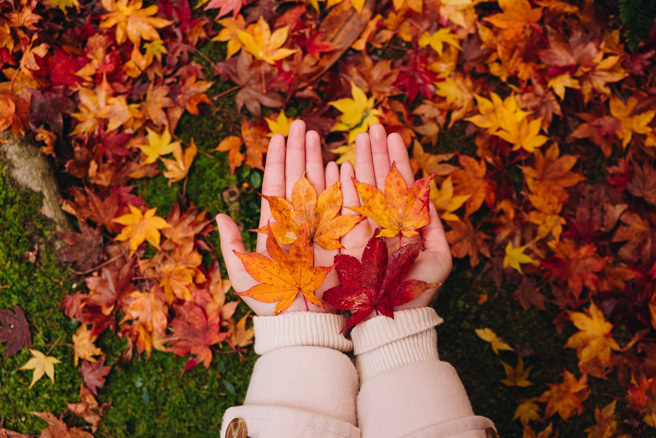 杨登嵙点名生肖属鼠、龙、蛇、猴在立秋这半个月要留意健康。（示意图／Shutterstock）