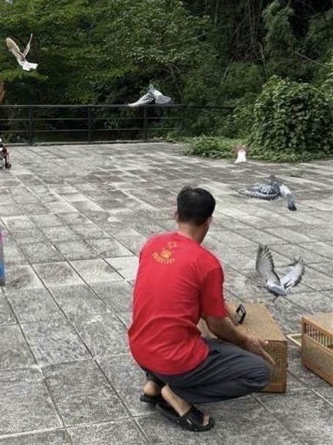 郭女供称，因上天旨意需要消灾祈福，因此向友人购买300只鹌鹑及友人赞助150只斑鸠与鸽子到清水岩放生，当天有另名陈姓友人协助开货车载送。（警方提供／吴建辉彰化传真）