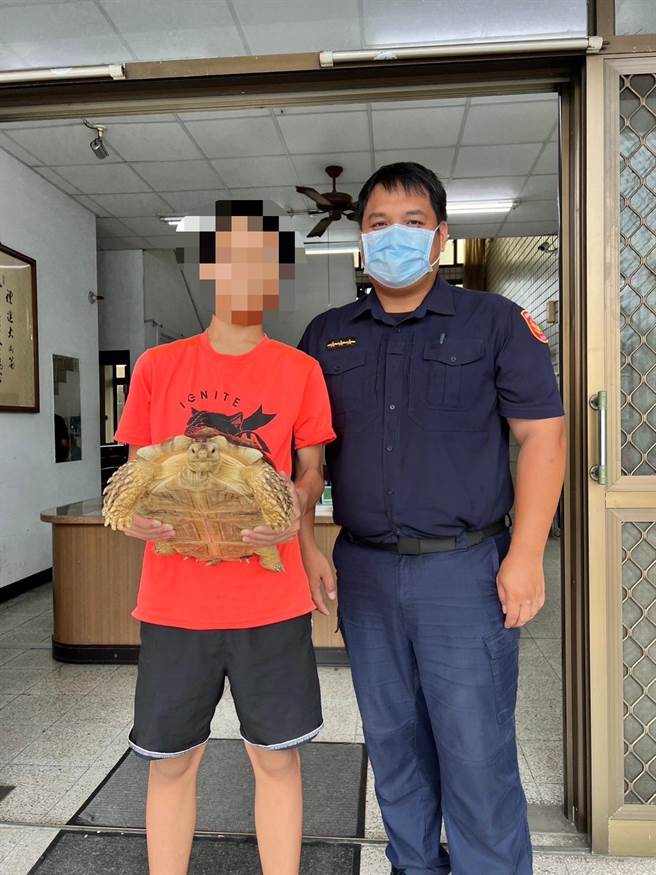 陸龜逃家逛大街，差點成車下亡「龜」。（警方提供）
