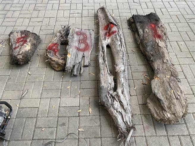 查扣台灣扁柏2塊、紅檜3塊與紅檜枝削材1批等價值逾3萬元的珍貴漂流木，及作案工具鏈鋸等贓證物。（宜蘭縣警察局三星分局提供／吳佩蓉宜蘭傳真）