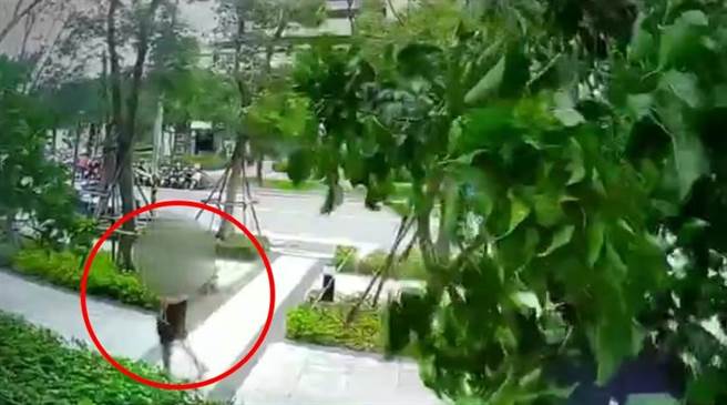 張姓男子日前持BB槍在路上閒晃，民眾見狀，立即打電話報案。（中和警分局提供）