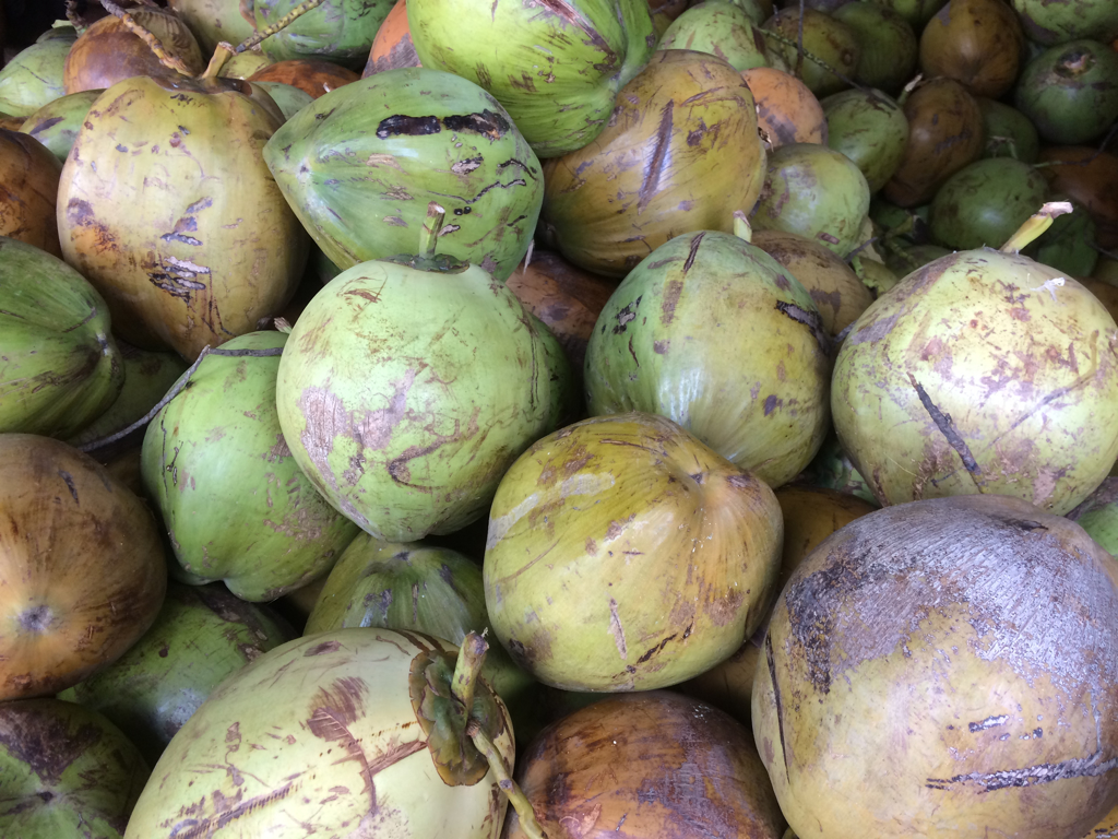 美国宣布进口越南椰子。（示意图／Shutterstock）(photo:ChinaTimes)