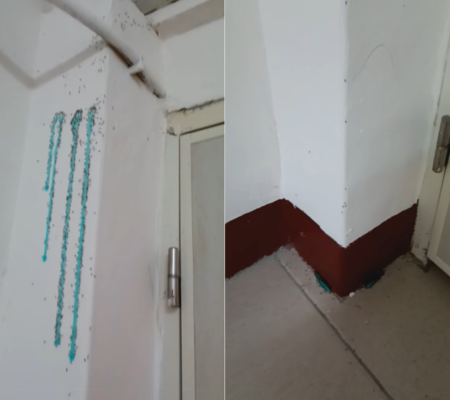 民眾入住租屋處一周，發現屋內出現大批螞蟻，只能找房東前來處理。（圖／翻攝爆怨2公社）