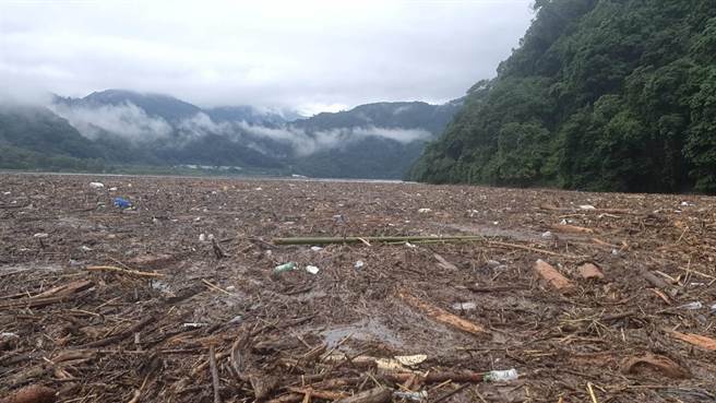 万大水库密密麻麻的漂流木，占据约25％湖面面积。（民眾提供／杨静茹南投传真）