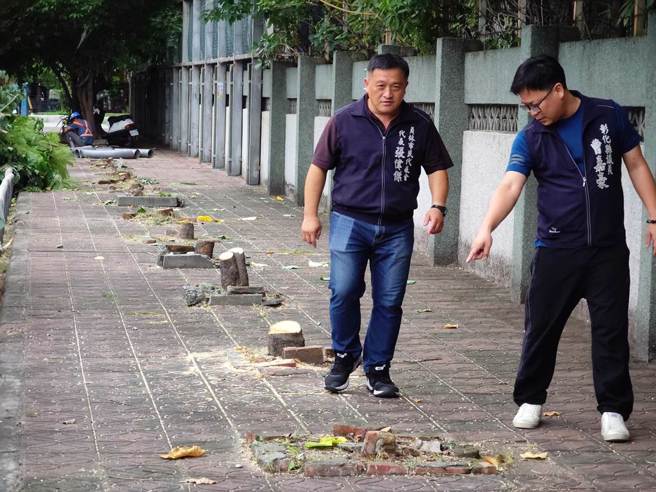 彰化崇实高工旁25棵路树惨遭「断头惨死」，引发轩然大波。(图／吴建辉摄)