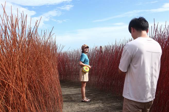 艺术家游文富经常大量地使用羽毛和竹子作为媒材创作平面、空间装置、地景艺术等不同类型作品，此次在《开江纪》展出，吸引许多网美拍照打卡。（邓博仁摄）