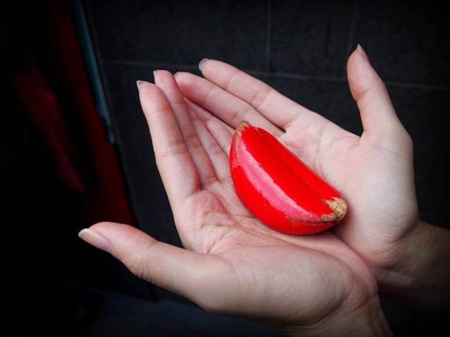 女子被要求「掷圣杯才得入内祭拜」，控告哥哥侵权求偿1元。 （示意图／本报资料照）