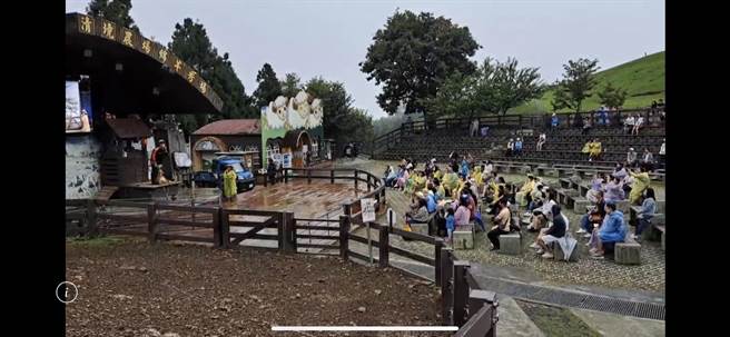 清境農場劇場下午劇場演出時雖飄著小雨仍不減遊客興致。清境農場提供