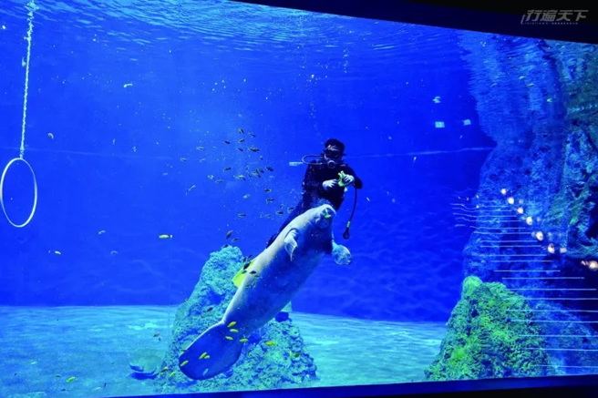 远雄海洋公园。（图／行遍天下提供）