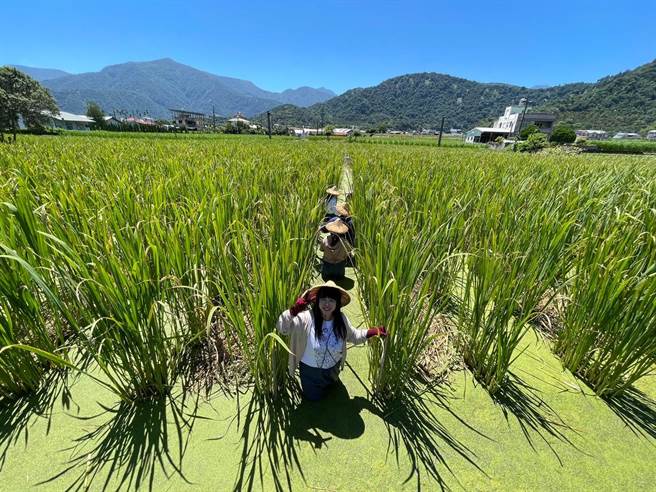 可乐旅游以自身旅行社的优势，结合饭店周遭好玩好吃的景点，提供旅客两天一夜埔里轻旅行。(可乐旅游提供)