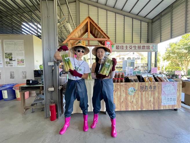 「最佳主茭茭白笋农场」以鱼笋共生的友善农法种植茭白笋，茭白笋甘甜爽脆。(可乐旅游提供)