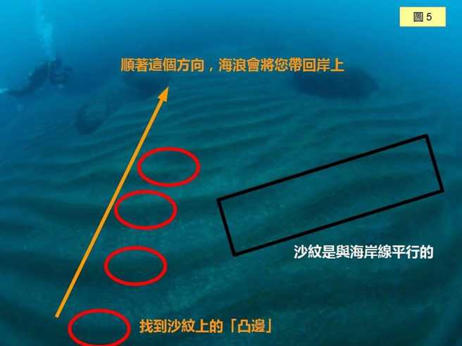 如果水的清澈度良好且正好是沙岸，您可以观察一下水底，会有一条条的沙纹 。（图／翻摄洪采阳 （鱷鱼大侠）脸书）