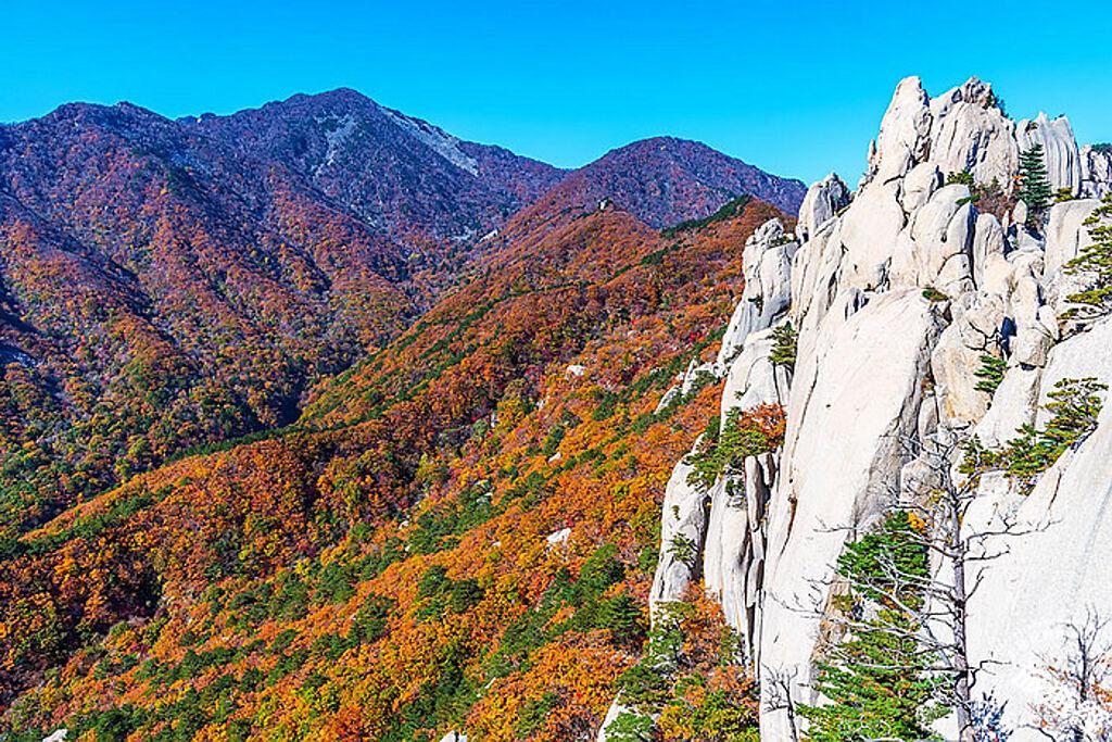 世邦旅遊從首爾前往楓紅勝地的雪嶽山國立公園。圖片：業者提供