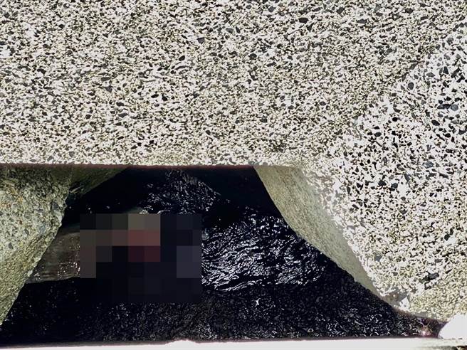 钓客失踪一夜后，上午经过数小时找寻，竟在消坡块的缝隙间看到漂在海面上。（读者提供／张志康基隆传真）