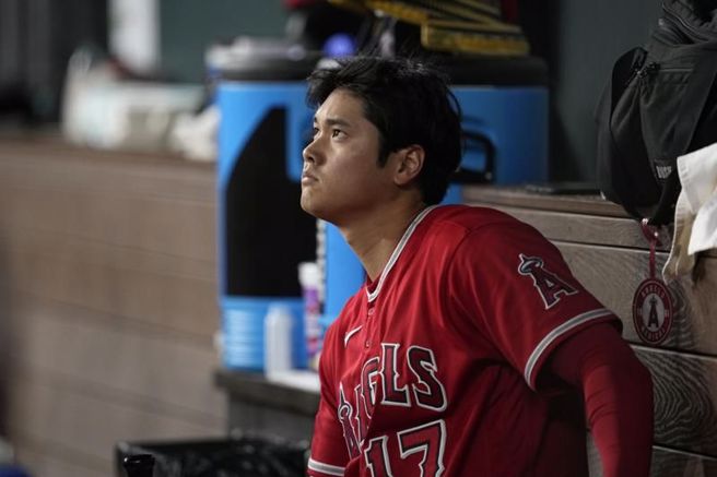 天使隊大谷翔平在休息區看比賽。（美聯社）