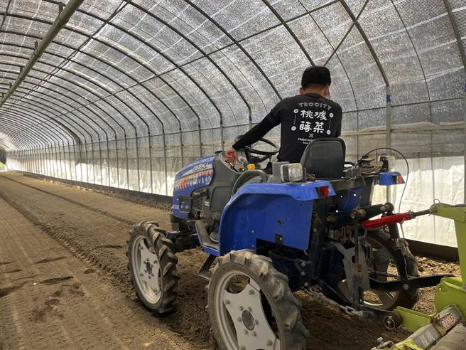 設施葉菜智慧、省工及節水栽培技術整合與應用觀摩會選於桃城蒔菜農業生產合作社舉行。（陳夢茹攝）