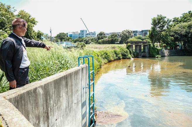 竹北市翁厝圳又被污染，麻园里长许荣生指不肖业者在翁厝圳第二取排水门偷倒废油，水面呈现褐色油污。（罗浚滨摄）