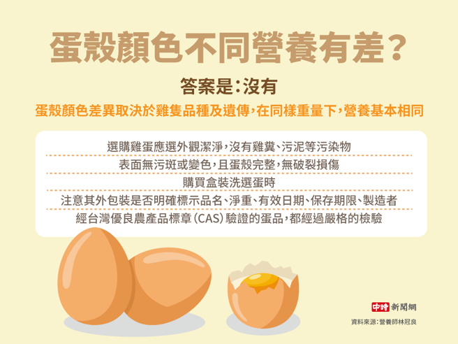 蛋殼顏色不同營養有差?(製圖/陳友齡)