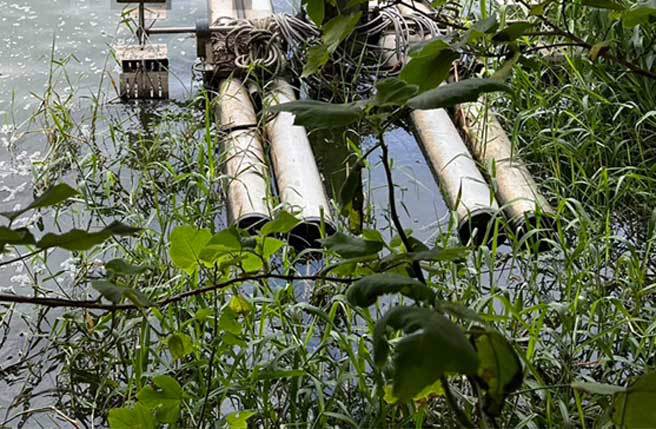 曾任嘉义县东石乡乡代会主席的郑姓男子溺死在鱼塭，警方怀疑可能是修水车时不慎溺水。（嘉义县消防局提供∕吕妍庭嘉义传真）