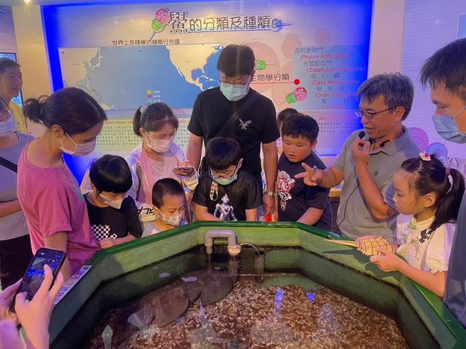 金门县水产试验所积极推动鲎的保育工作，园区内设有鲎生态文化馆且进行稚鲎復育计画。(图／移民署提供)