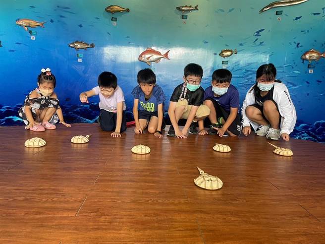 藉由寓教于乐的「守鲎幸福」家庭教育活动，让大家心中埋下守护金门生态环境的种子。(图／移民署提供)