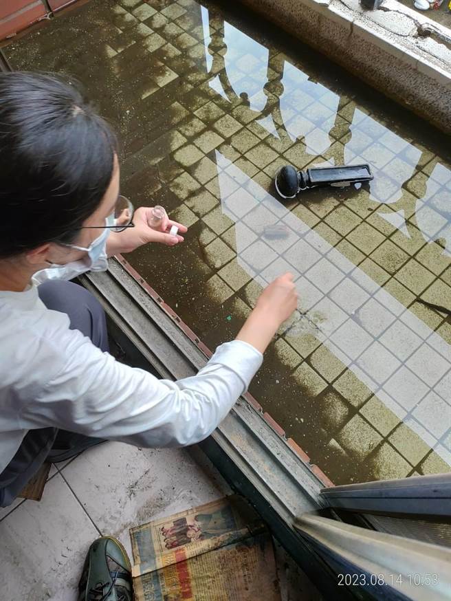 近期台南幾乎天天下雨，雨後積水容器也增加，防疫人員呼籲務必要加強清除。(台南市衛生局提供／曹婷婷台南傳真)