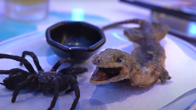 李岳分享长毛蜘蛛与壁虎的上桌照。（李岳提供）