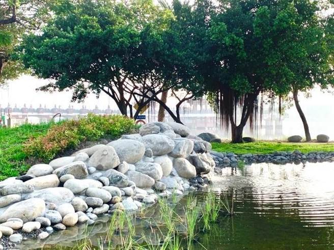 原農田水利會位置，創造瀑布跌水與水草埤塘風貌。（柯宗緯翻攝）