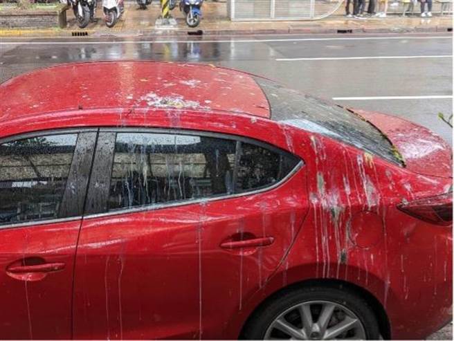 基隆市的西定河与旭川河交界处，原先是鸟类的栖息地，但兴建沉砂池破坏栖地后，大量鹭鸶迁徙至田寮河畔的树上，也造成周遭停车者与行人频遭鸟粪「空袭」之问题。（本报资料照）