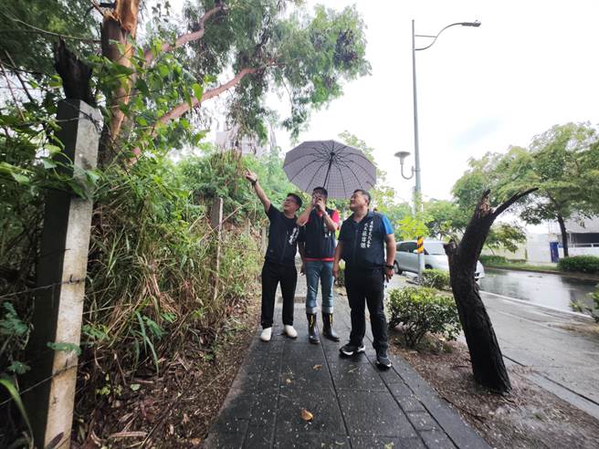 彰化县议员曹嘉豪表示，他发现许多私人土地杂草、树丛丛生，认为不能轻忽，呼吁县府与民眾要共同维护。(吴建辉摄)