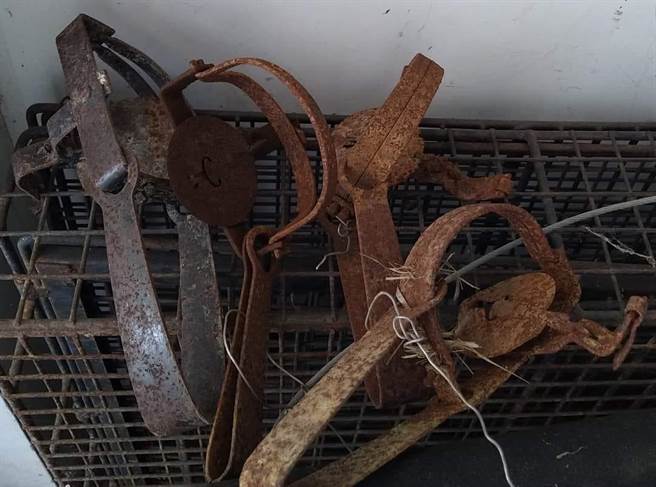 县府呼吁切勿违法使用兽铗及山猪吊。（苗栗县政府提供／李京升苗栗传真）