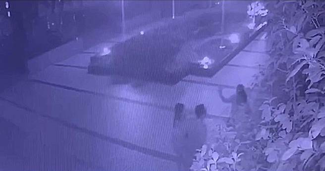 幾個載KTV一同歡唱的友人，下樓談判發生口角，陳姓男子突遭人揮拳毆打。（翻攝畫面）