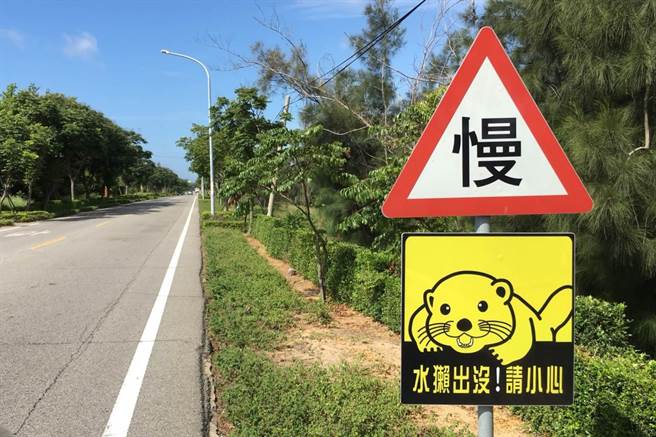 北市动物园呼吁，在金门旅游时减速慢行，提供水獭安全回家的路。（北市动物园提供）