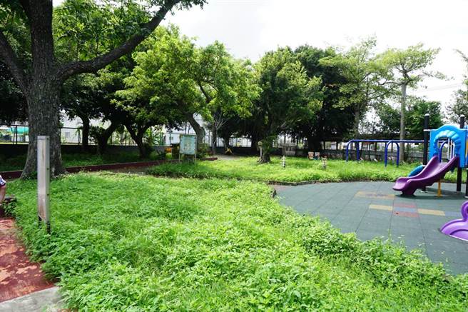 后里区七星国小活动中心共构幼儿园将兴建，预计两年后完工招生。（陈淑娥摄）