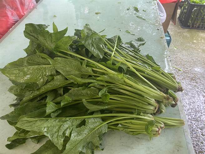 南投縣府員工踴躍團購災區仁愛鄉盛產的高山菠菜164台斤，讓災民好感動！（南投縣政府提供）