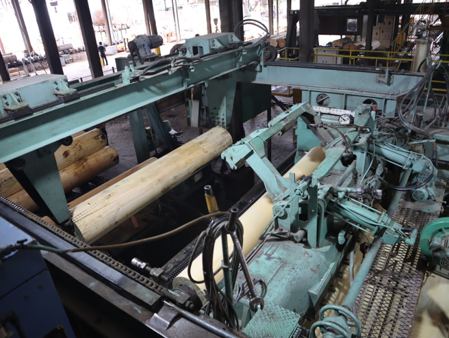 1990年代响应南向政策，台商陈永彬拎着一卡皮箱南向东马拿笃从事木材业。图为三夹板工厂作业情形。（图／中央社）