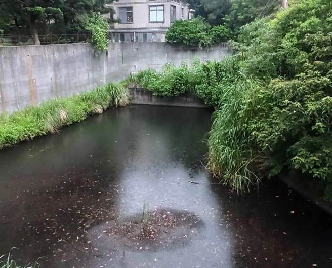 桃园市龙潭渴望园区内的滞洪池与排洪道鲜少使用，地方担心成为登革热防疫盲点。（洪扬才提供／蔡明亘桃园传真）