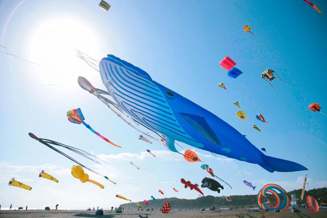 旗津风筝节最后一周将有各式海底世界风筝在天空齐飞。（图片来源：高雄市观光局提供）
