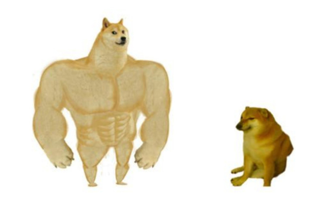 网路族一定都看过的迷因图「Swole Doge vs. Cheems」，右边的「废物柴柴」本尊Balltze传出过世消息，让许多网友心碎。(图／取自网路)
