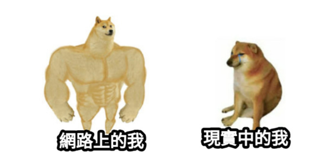 这张哽图最常被台湾网友改成「网路上的自己与现实中的自己」迷因。(图／翻摄MeMe梗图仓库)