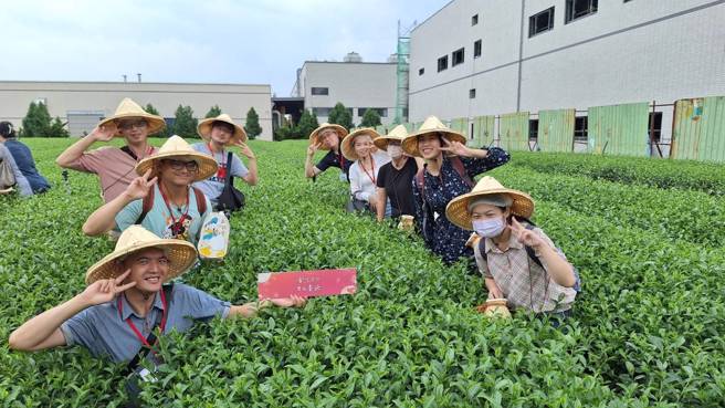 桃园客家小旅行，参观客家电视剧《茶金》特展，体验茶文化艺术之美。(戴志扬翻摄)