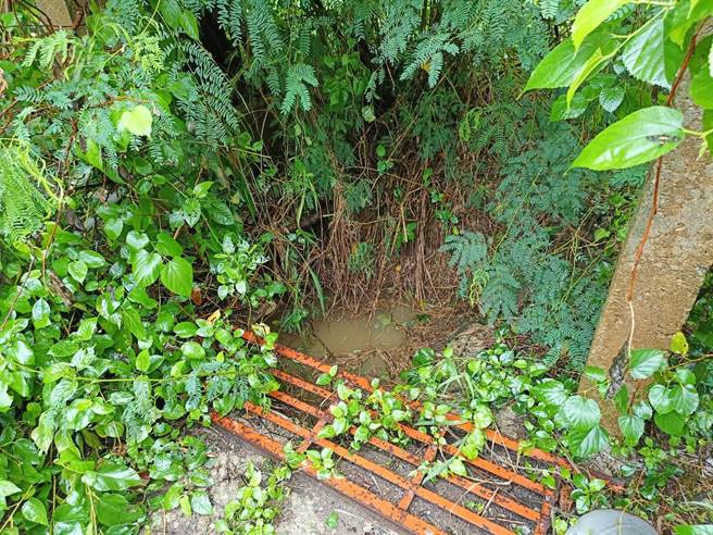 金门塔后地区昨（19）日晚间发生一起民眾落井意外。（民眾提供）