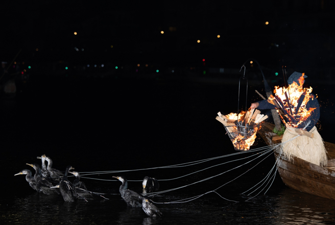 日本一艘在岐阜市长良川观看传统捕鱼方式「鸬鹚捕鱼」的船只昨晚因不明原因搁浅，造成船上一对台湾观光客夫妇受到脚部擦伤等轻伤。（资料照/shutterstock）