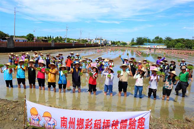 屏东县府与南州乡公所合作，20日携手以「海底世界」为主题将彩稻插回南州糖厂，预计国庆连假与大家相见欢。（谢佳潾摄）