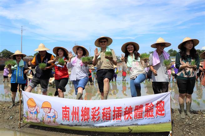 屏东县府与南州乡公所合作，20日携手以「海底世界」为主题将彩稻插回南州糖厂，预计国庆连假与大家相见欢。（谢佳潾摄）