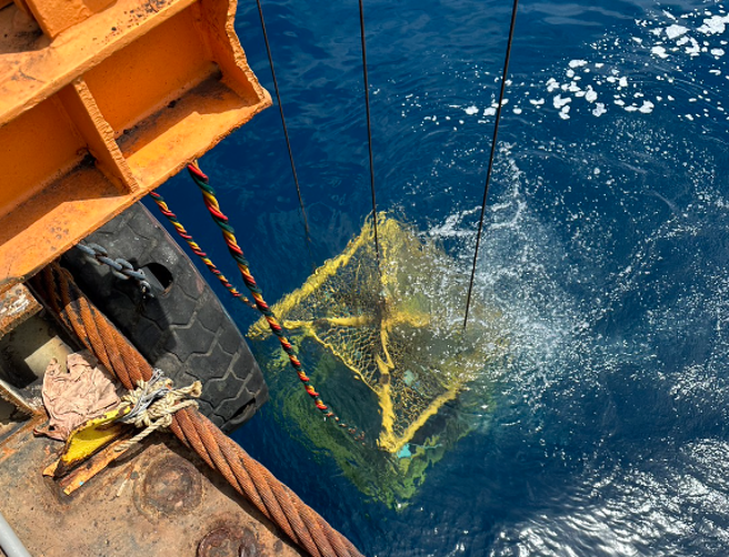 潜水人员下潜。（照片/ 港务局提供）